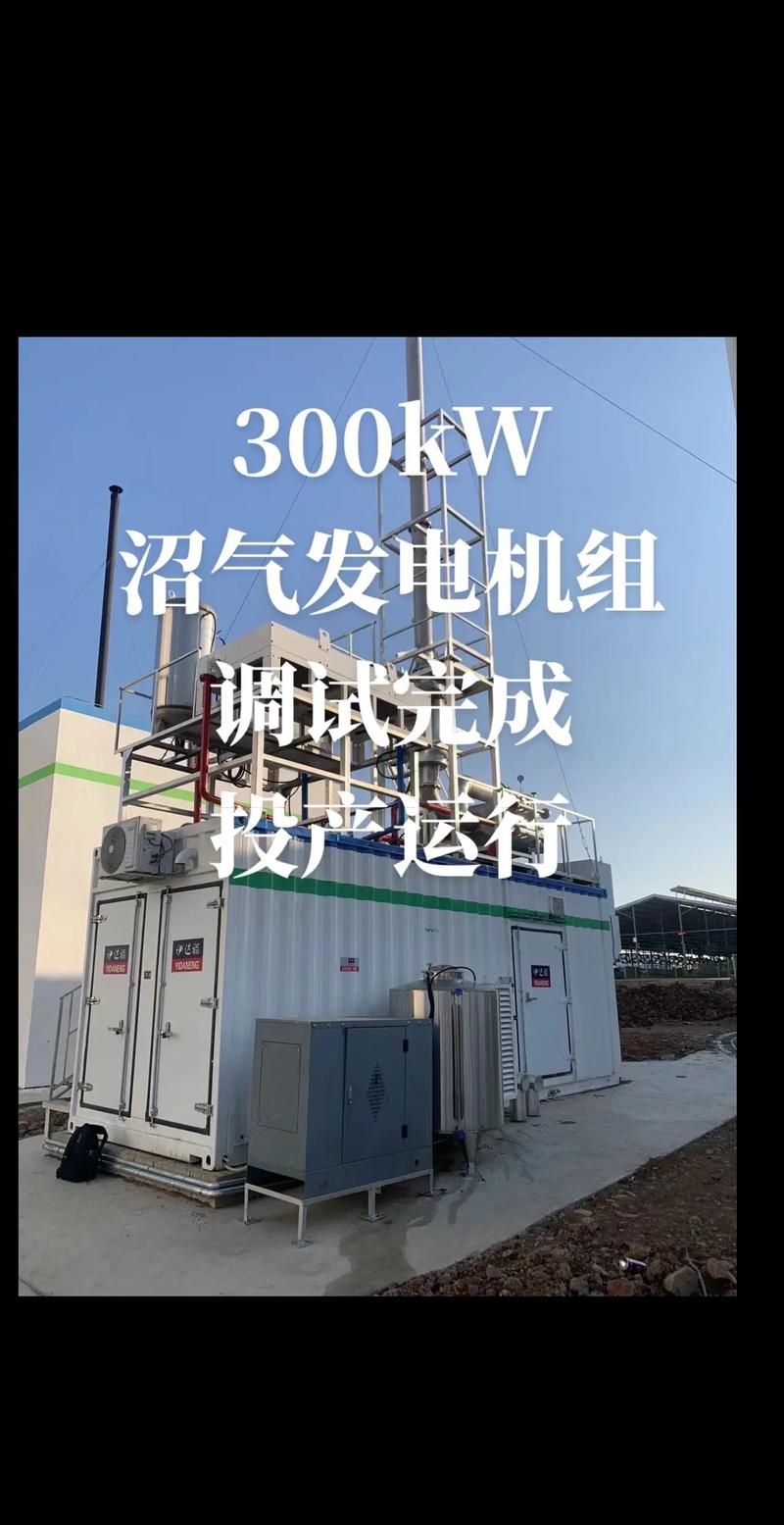 新能源时代：再生能源公司的崛起