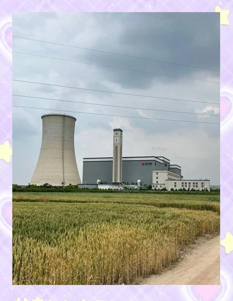 江西生物质发电：绿色发展的新引擎