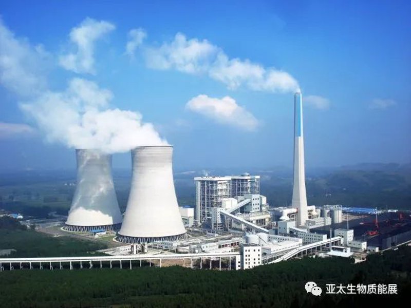 新能源时代：再生能源公司的崛起